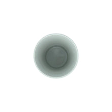 Made in Japan Cup