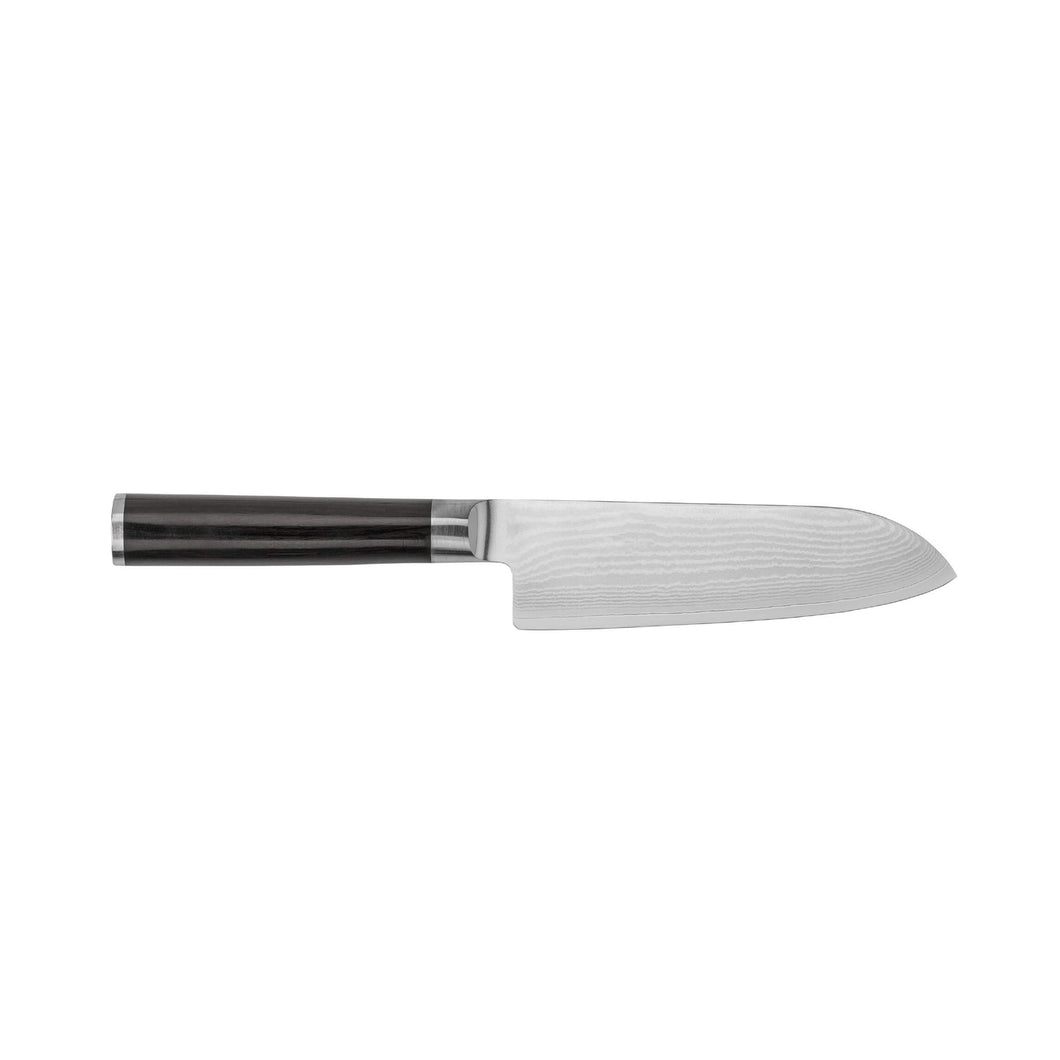 Best Japanese Santoku Knife